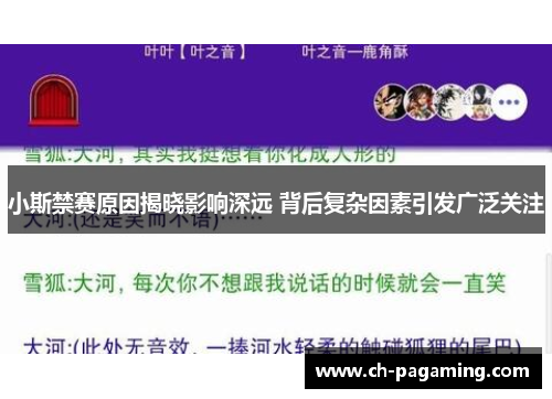 小斯禁赛原因揭晓影响深远 背后复杂因素引发广泛关注