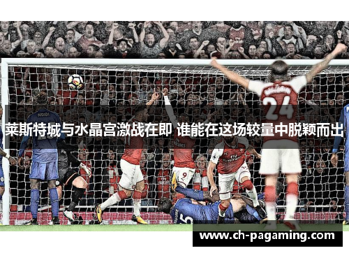 莱斯特城与水晶宫激战在即 谁能在这场较量中脱颖而出