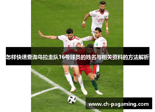 怎样快速查询乌拉圭队16号球员的姓名与相关资料的方法解析