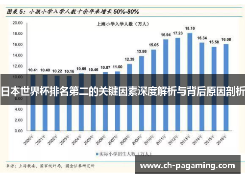 日本世界杯排名第二的关键因素深度解析与背后原因剖析