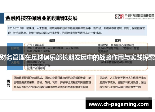 财务管理在足球俱乐部长期发展中的战略作用与实践探索