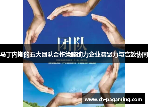 马丁内斯的五大团队合作策略助力企业凝聚力与高效协同