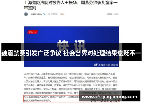 魏震禁赛引发广泛争议 社会各界对处理结果褒贬不一