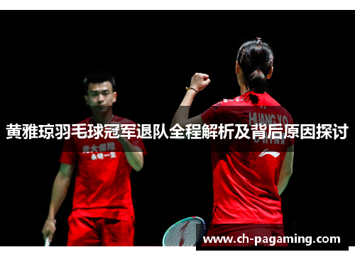 黄雅琼羽毛球冠军退队全程解析及背后原因探讨