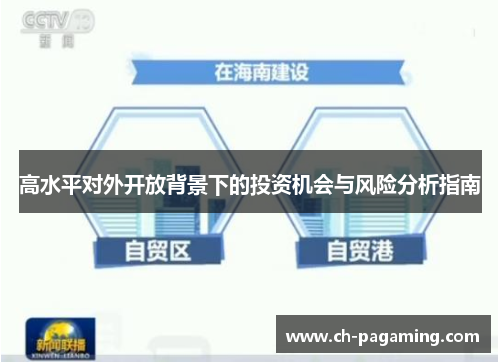 高水平对外开放背景下的投资机会与风险分析指南