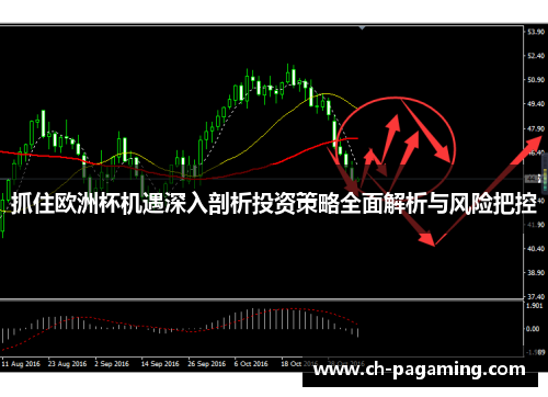 抓住欧洲杯机遇深入剖析投资策略全面解析与风险把控