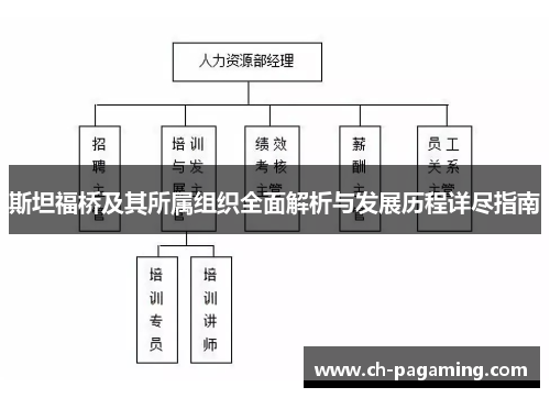 斯坦福桥及其所属组织全面解析与发展历程详尽指南
