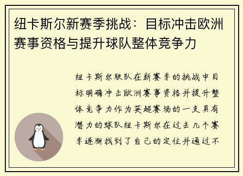 纽卡斯尔新赛季挑战：目标冲击欧洲赛事资格与提升球队整体竞争力